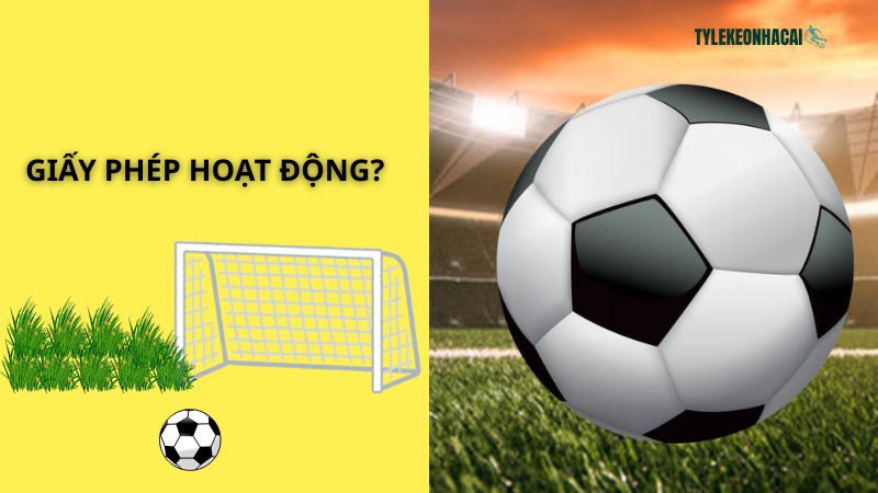 Giấy phép hoạt động là văn bản xác nhận độ uy tín của một thương hiệu