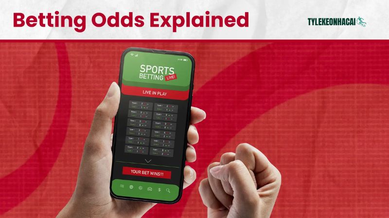 Mọi dữ liệu đều được cập nhật nhanh chóng, minh bạch