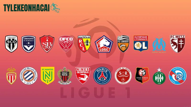 Tìm hiểu tổng quan về giải VĐQG Pháp